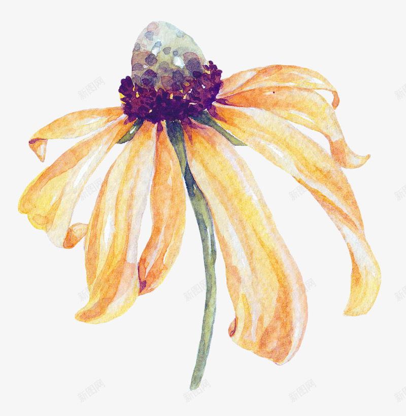 美丽的花朵手绘图png免抠素材_新图网 https://ixintu.com 水彩 简图 美丽的 花卉 花朵 花瓣 花蕊 装饰