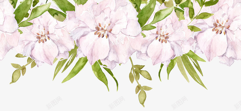 绿植中的花朵手绘图png免抠素材_新图网 https://ixintu.com 手绘图 植物 绿植 美丽的 花卉 花朵 花瓣