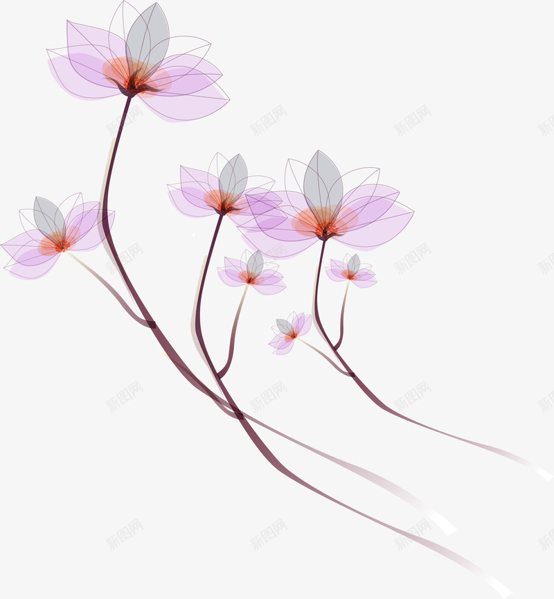 紫色清新花枝png免抠素材_新图网 https://ixintu.com 梦幻花蕊 植物 紫色花枝 美丽鲜花 花朵 花瓣