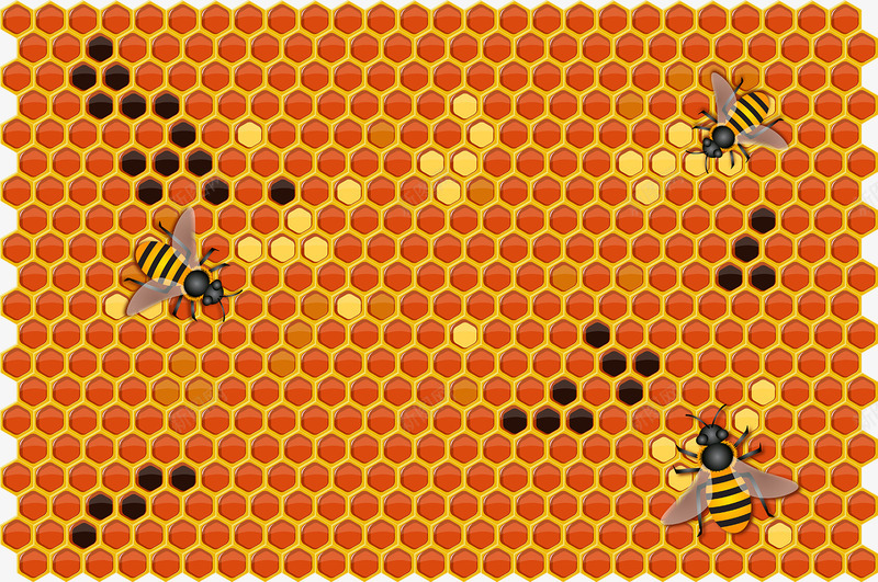 蜜蜂与蜂巢png免抠素材_新图网 https://ixintu.com 蜂窝网格 蜂蜜 蜜蜂