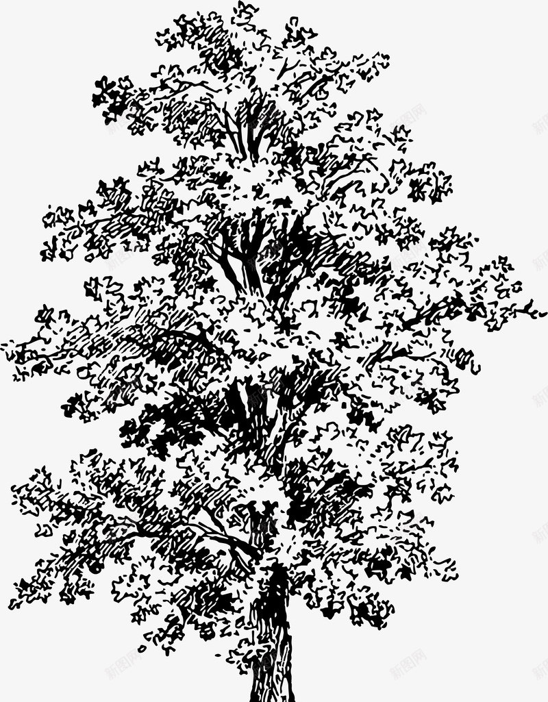 手绘植物大树矢量图ai免抠素材_新图网 https://ixintu.com 创意 卡通 大树设计 手绘 植物设计 精美 矢量图