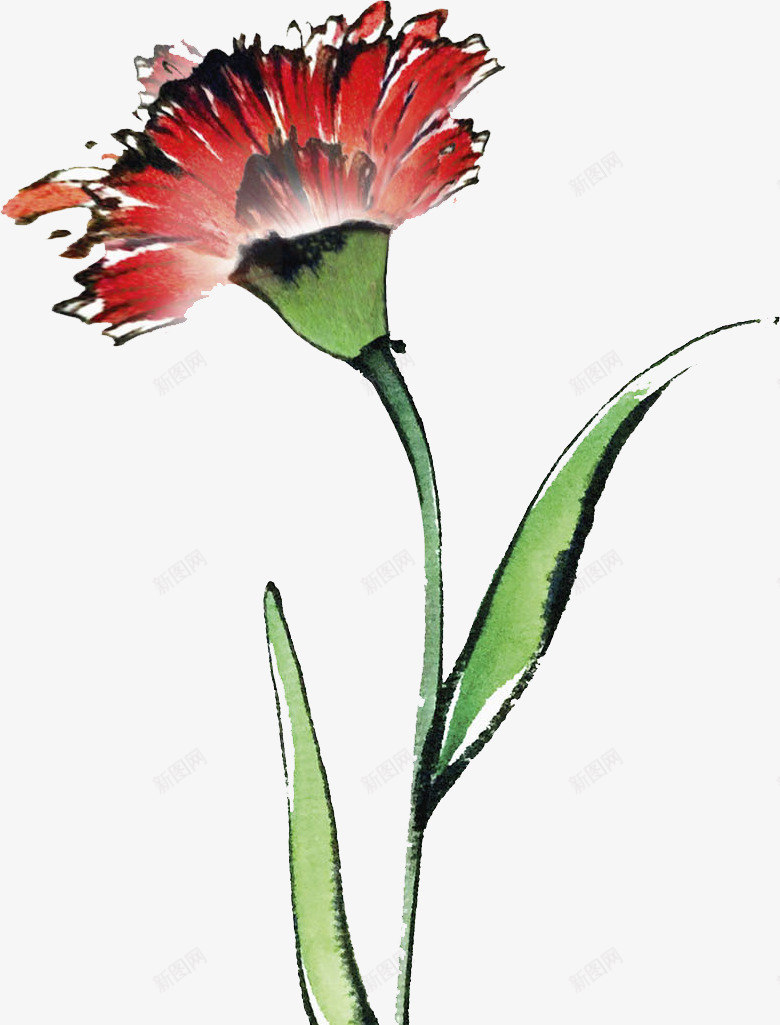 大红色的花朵png免抠素材_新图网 https://ixintu.com 红色花朵 红花 绿色 绿色叶子 绿色植物 美丽