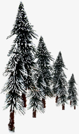 黑色松树冬季淘宝促销素材