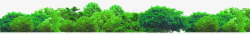 绿树景色树木风景素材