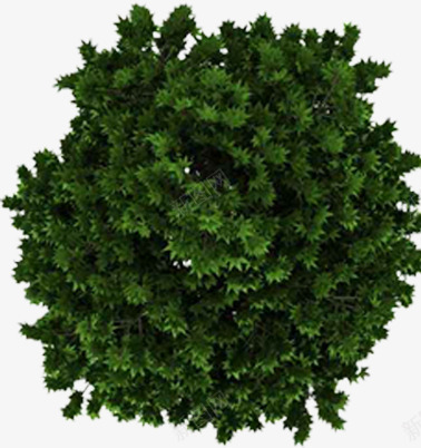 创意合成绿色的植物大树效果png免抠素材_新图网 https://ixintu.com 创意 合成 大树 效果 植物 绿色