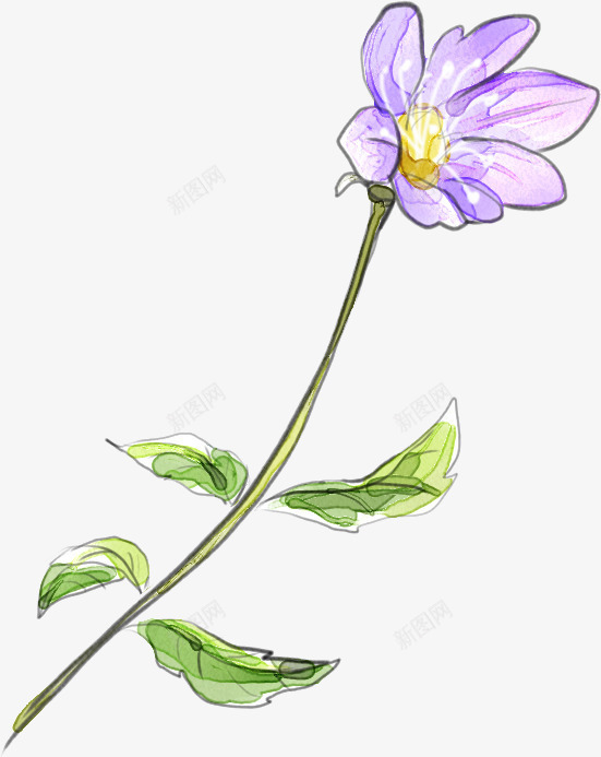 手绘紫色美丽花朵png免抠素材_新图网 https://ixintu.com 紫色 美丽 花朵