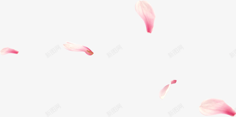 漂浮粉色花瓣春天装饰png免抠素材_新图网 https://ixintu.com 春天 漂浮 粉色 花瓣 装饰