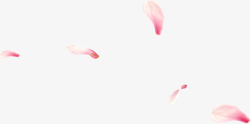 漂浮粉色花瓣春天装饰素材