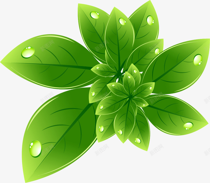 精美绿色环保主题标签图标png_新图网 https://ixintu.com 清新 环保 环保LOGO 环保标志 环境保护 生态环保 生态环境 精美 绿叶 绿色 绿色植物 绿色背景