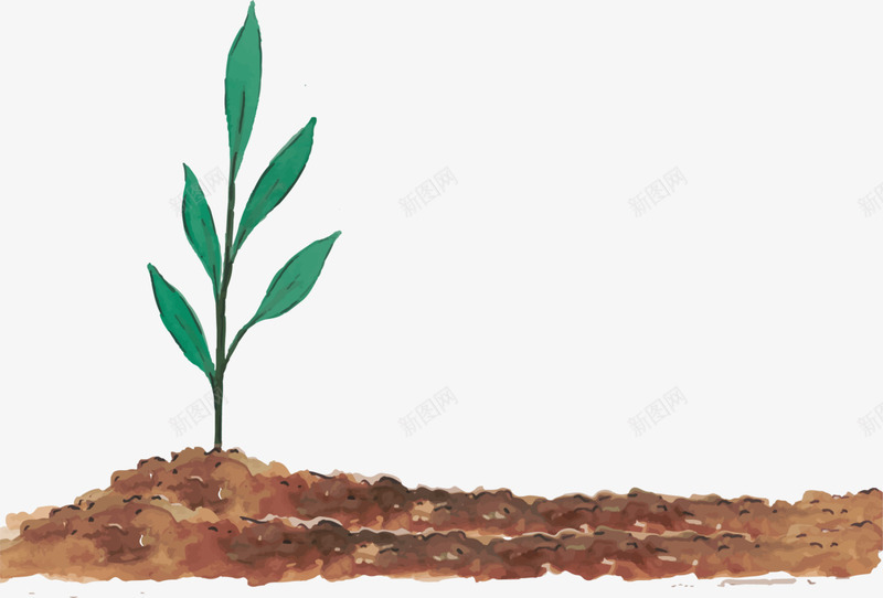 咖啡色水彩泥土植物png免抠素材_新图网 https://ixintu.com 世界环境日 咖啡色泥土 植物 爱护环境 环保 生态循环 种植 绿色 自然