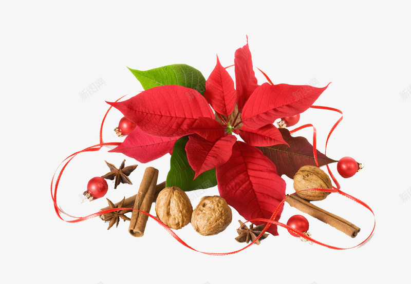 圣诞节装饰png免抠素材_新图网 https://ixintu.com 圣诞节元素素材库 圣诞节花 坚果 植物 红色 红色彩带 调味品 食物坚果