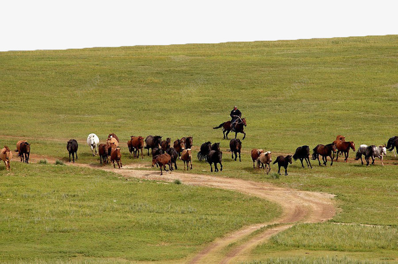 绿色自然牧场png免抠素材_新图网 https://ixintu.com 放牧 绿色 自然风光 草原 蒙古 蒙古草原 马