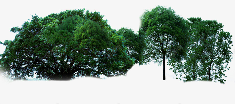 摄影合成效果绿色大树png免抠素材_新图网 https://ixintu.com 合成 大树 摄影 效果 绿色