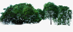 摄影合成效果绿色大树素材