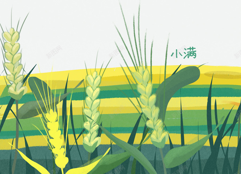 绿色创意纹理麦田元素png免抠素材_新图网 https://ixintu.com 创意 植物 环境 生长 纹理 绿色 自然 麦穗