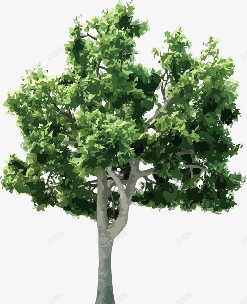 一棵大树png免抠素材_新图网 https://ixintu.com 大树 植物 绿叶 绿色