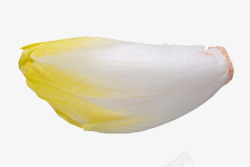 储存蔬菜大白菜高清图片