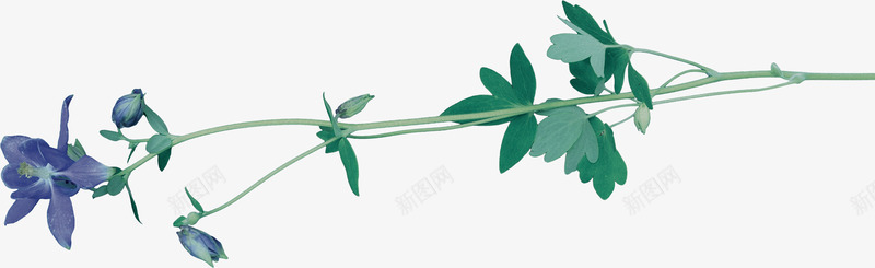 卡通手绘美丽的花束绿叶png免抠素材_新图网 https://ixintu.com 创意 卡通手绘 精美的 绿叶 美丽的 花朵 花束