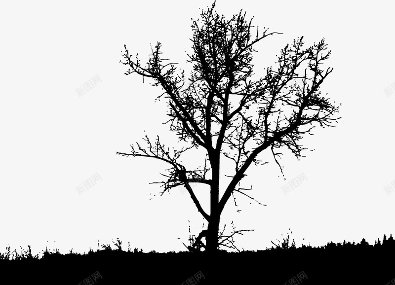 草原上的大树图标png_新图网 https://ixintu.com PNG图形 PNG装饰 大树 手绘 装饰 黑色