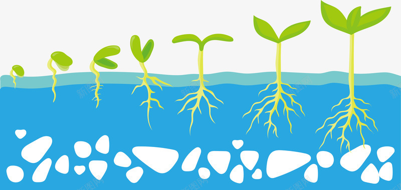 水培植物png免抠素材_新图网 https://ixintu.com 发芽 增长 小草 小草生长过程图 水生植物 蓝色 递增