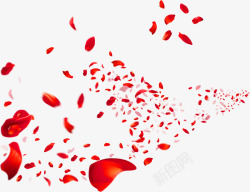 飞舞的红花瓣素材