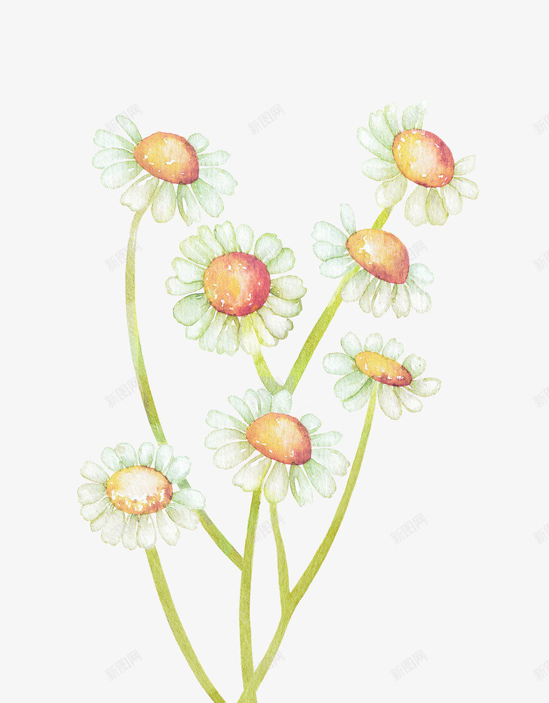 美丽清新小花朵简图png免抠素材_新图网 https://ixintu.com 小清新 手绘图 植物 美丽的 花卉 花朵 花瓣