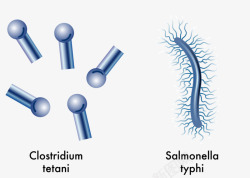 手绘细菌素材