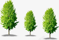 夏季绿色大树装饰素材
