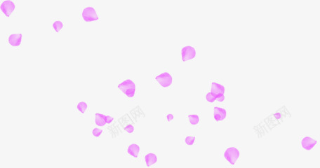 散落花瓣漂浮元素png免抠素材_新图网 https://ixintu.com 紫色 装饰 随机