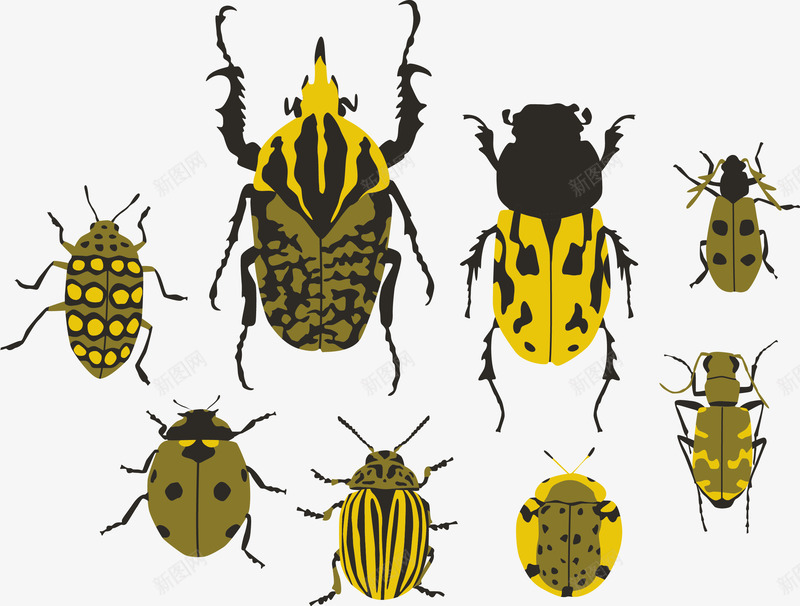 秋夏昆虫png免抠素材_新图网 https://ixintu.com 天牛 瓢虫 臭虫 被翻面的虫子