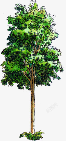 手绘绿色植物大树装饰素材