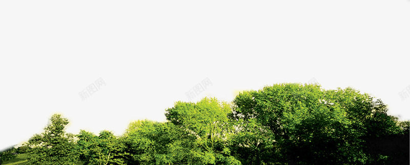 绿色大树景观美景树木png免抠素材_新图网 https://ixintu.com 大树 景观 树木 绿色 美景