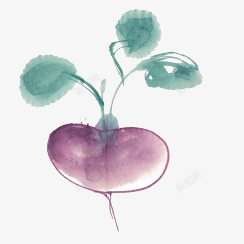 萝卜水墨画片png免抠素材_新图网 https://ixintu.com 手绘色彩画 水墨彩色 紫色 萝卜 蔬菜