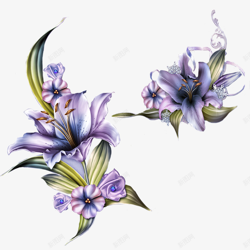 紫色百合png免抠素材_新图网 https://ixintu.com 百合 精致 美丽 花朵