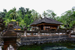 巴厘岛圣泉寺摄影素材