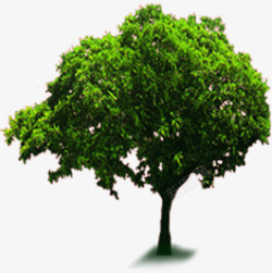 创意合成绿色的大树造型素材