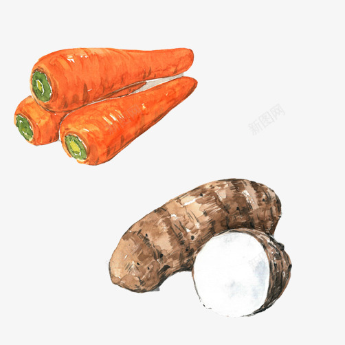 蔬菜手绘片png免抠素材_新图网 https://ixintu.com 卡通芋头 手绘画 新鲜 橘色 胡萝卜 芋头 菜类图片 蔬菜 高清芋头图片