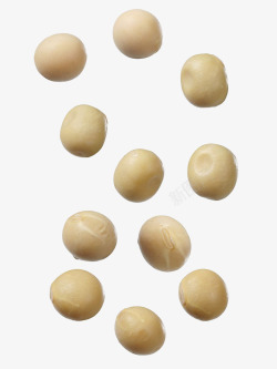 白芸豆漂浮的黄豆高清图片