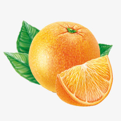 橙子图案素材