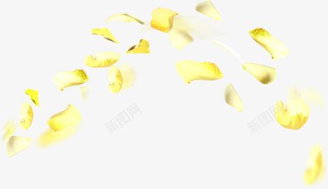 黄色唯美卡通漂浮花瓣png免抠素材_新图网 https://ixintu.com 卡通 漂浮 花瓣 黄色