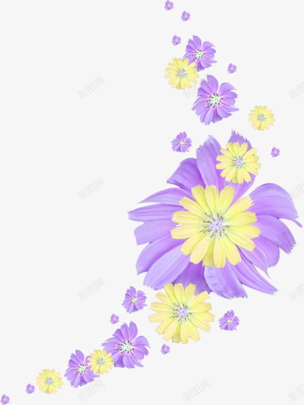 紫色菊花png免抠素材_新图网 https://ixintu.com 手绘 漂浮 紫色 花瓣 菊花