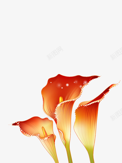 郁金香花朵png免抠素材_新图网 https://ixintu.com 美丽 花朵 高贵
