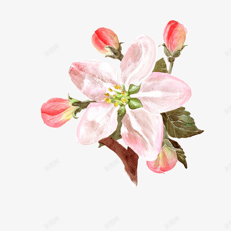 红色开放的花朵png免抠素材_新图网 https://ixintu.com 中国画 传统 手绘 植物 水墨 渐变 红色 自然 花朵