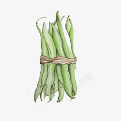 蔬菜色彩豇豆手绘画片高清图片