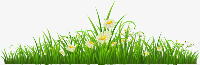 绿色植物png免抠素材_新图网 https://ixintu.com 小草 植物 甘菊 绿色 野花