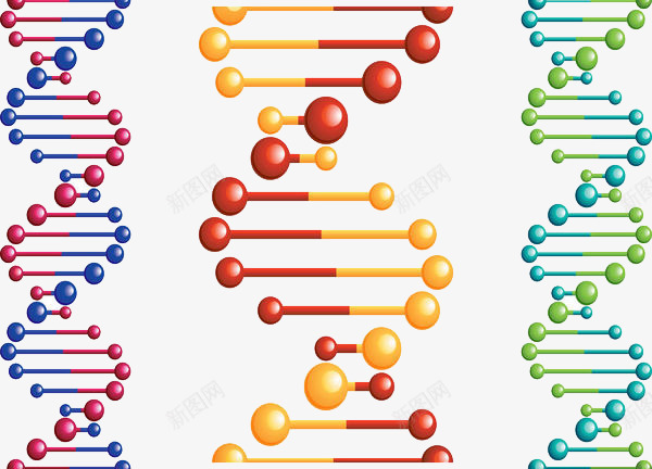 染色体彩色卡通插画png免抠素材_新图网 https://ixintu.com 医疗 基因分子 显微 染色体彩色卡通插画 生物 生物学 科技研究 细胞 螺旋 遗传学