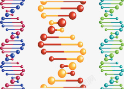遗传分子染色体彩色卡通插画高清图片
