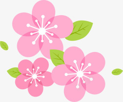 粉色春季美丽花朵素材