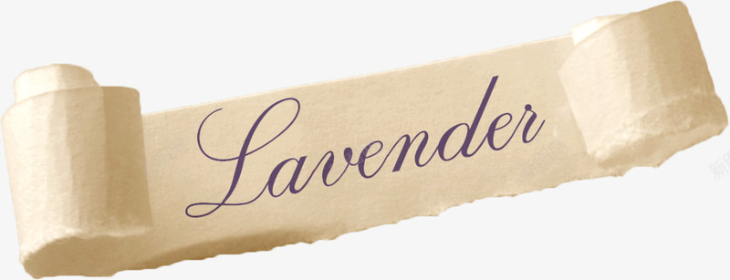 Lavenderpng免抠素材_新图网 https://ixintu.com 标签 纸张 羊皮卷纸 英文