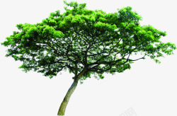 创意绿色大树环境素材